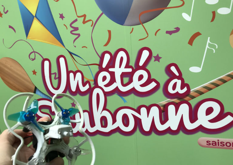 Un été à Eaubonne